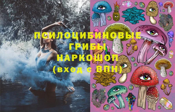 винт Алзамай