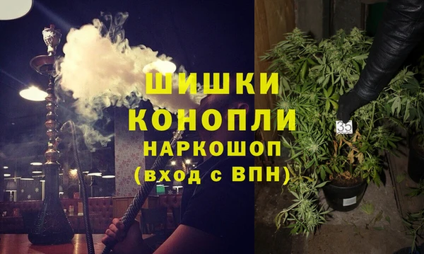 винт Алзамай