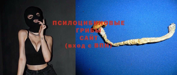 хмурый Алексеевка
