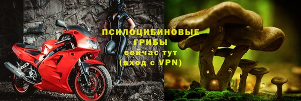 хмурый Алексеевка