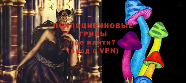 винт Алзамай