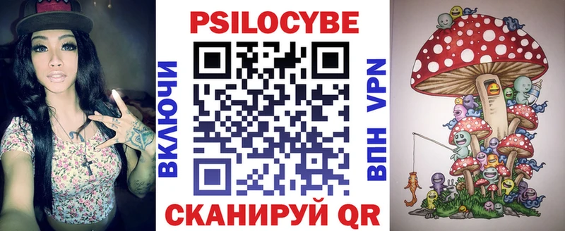 Псилоцибиновые грибы Psilocybine cubensis  Порхов 
